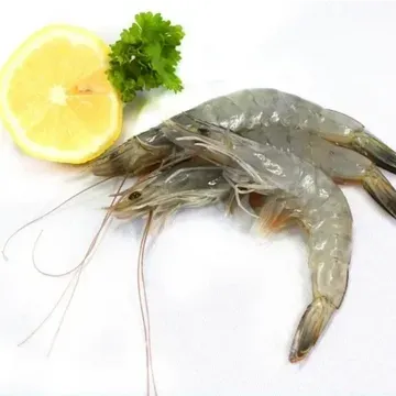fresh head on shell on shrimp from 필리핀 supplied by Phil-Union Frozen Foods, Inc. - Whole 냉동 새우
