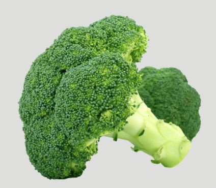 Broccoli from 중국 supplied by Rizhao Yihe Food Co., Ltd. - Whole 신선 브로콜리 꽃