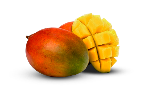 Mango - Kent Sleeve from 브라질 supplied by Sweet Fruits Comercio Atacadista, Importacao E Exportacao De Frutas LTDA - 긴 타원형 신선 망고