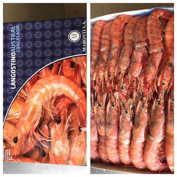 Argentinian Red Prawns from 영국 supplied by Rex Down Wholesale Fish Merchants Ltd - Argentine Red Shrimp (=Pleoticus muelleri) 신선 새우