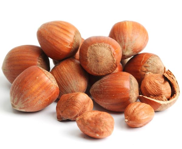Hazelnut from 폴란드 supplied by MARKIE-POL sp. z o. o. sp. komandytowa. - 갈색 생 헤이즐넛