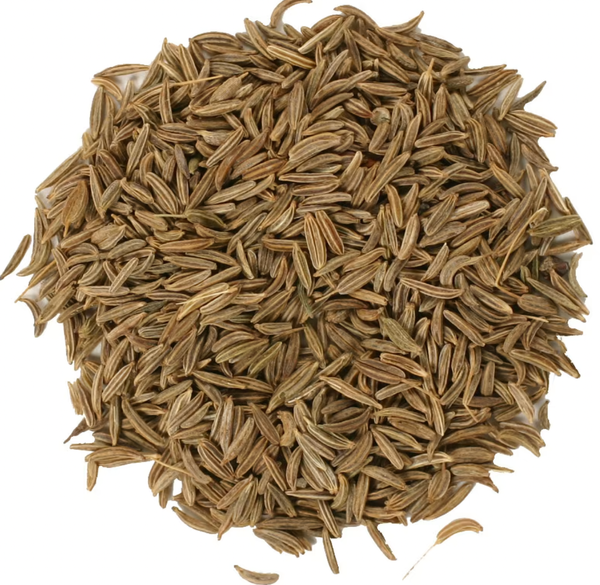 Organic Caraway from 독일 supplied by AgaSAAT GMBH - Organic 캐러웨이 씨