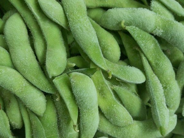 Soybean from China supplied by XINYANG MINGDE FOOD CO.,LTD - Whole Soybean