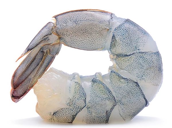 Frozen Vannamei Shrimp from Ecuador supplied by 7 Seas Foods Int - HOSO (Head On Shell On) Frozen Common Shrimp & Prawn