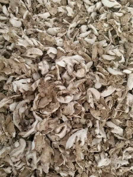 Split Ginger from 나이지리아 supplied by Afrogric Global Trading Company Ltd. - American Standard (=ASTA) 통생강