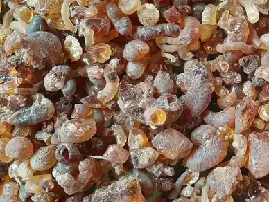 Gum Arabic from 나이지리아 supplied by Chairman Export Company - Hashab - Acacia Senegal 아라비아검