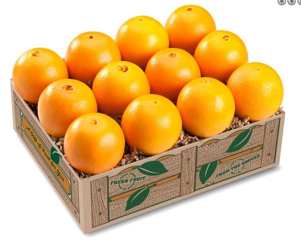 Oranges from United States supplied by Pell's Citrus & Nursery - Orange Fresh Orange
