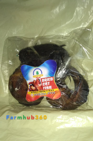 Dried catfish from 나이지리아 supplied by Farmhub360 - With Bone 냉동 메기 통마리
