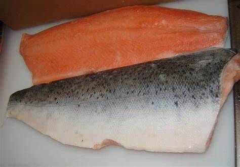 fresh salmon from 폴란드 supplied by Baltimer Sp. z o.o. - Fillet 연어