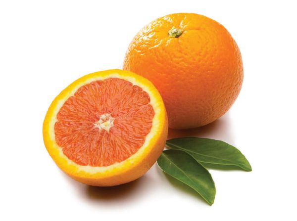 Fresh Orange from Chile supplied by OSVALDO ANTONIO BARRIENTOS VALENZUELA - Navel - Fukumoto Fresh Orange