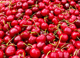Cherries from 독일 supplied by Stefan Gamb Farm - Red 신선 체리