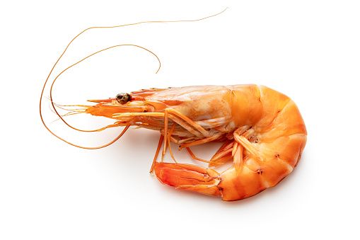 Shrimp from 네덜란드 supplied by Primera processing - Headless 냉동 새우