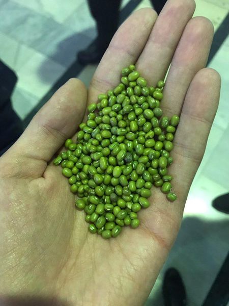 Mung Beans from 우즈베키스탄 supplied by BROAGRO LLC - Polished 말린 녹두