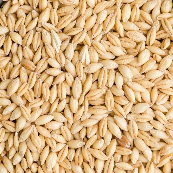 Barley from 독일 supplied by Zorgeland GmbH - Yellow 보리