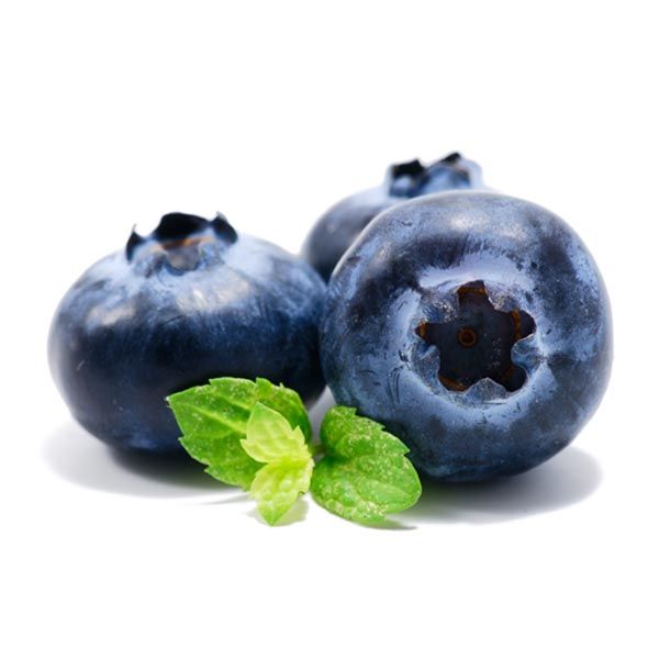 Blueberry from United States supplied by Van Drunen Farms Inc - Diced Fresh Blueberry