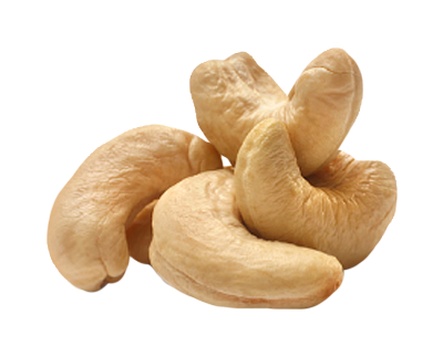 Raw Cashew from 남아프리카공화국 supplied by The Nut Lady - Raw 캐슈너트 알맹이