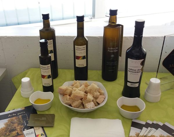 Olive Oil from Portugal supplied by SAOV - Sociedade Agrícola Ouro Vegetal, Lda. - golden green Olive Oil