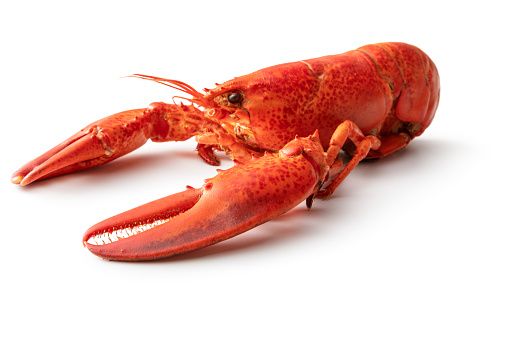 Crayfish from 중국 supplied by Primera processing - Whole 가재