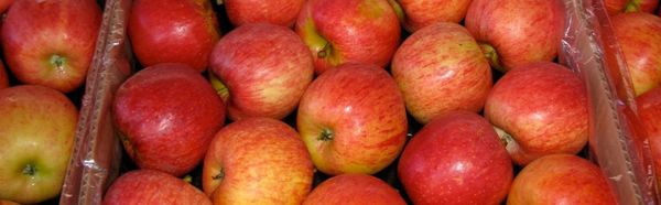 Apple from South Africa supplied by Fruitworks (Pty) Ltd - Cripps Red Fresh Apple