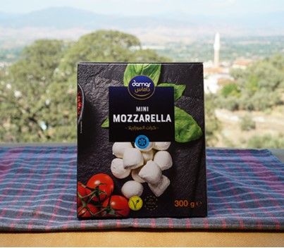 Mozzarella Cheese from 튀르키예 supplied by Reha Milk Products Industry & Trading Ltd. - Washed Rind 모짜렐라 치즈