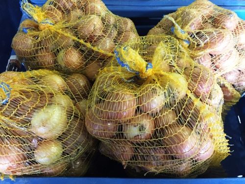 Onion from 체코 supplied by Ovocné Sady Bříství - Fresh (=Chilled) 신선 양파