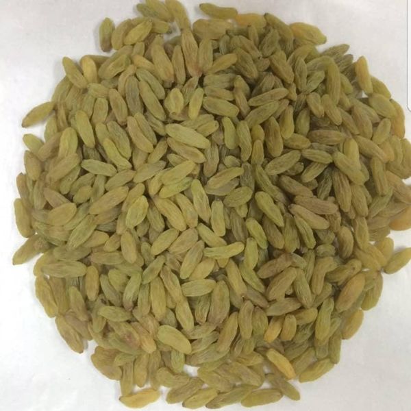 Raisin from 아프가니스탄 supplied by Sultan Sharif Ltd - Black Brown 건포도