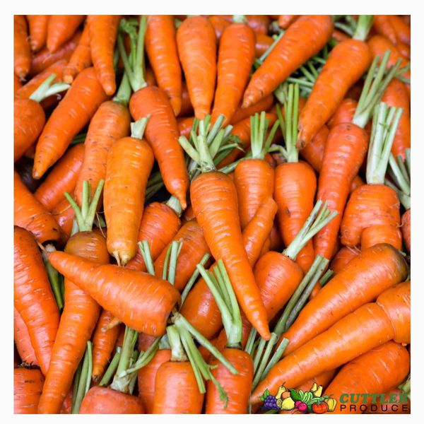 Fresh Carrot from 미국 supplied by Cuttler Produce - Orange 신선 당근