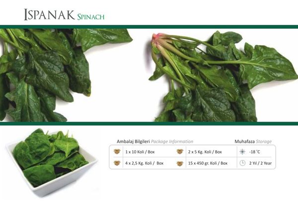 Spinach from 튀르키예 supplied by Muti Gida - Whole 신선 시금치