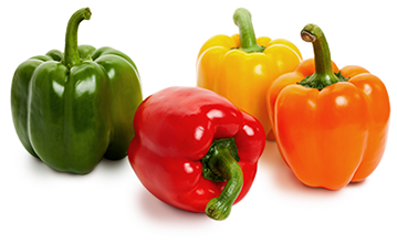 Organic Bell Peppers from United States supplied by WHOLESUM FAMILY FARMS INC - Green Fresh Bell Pepper