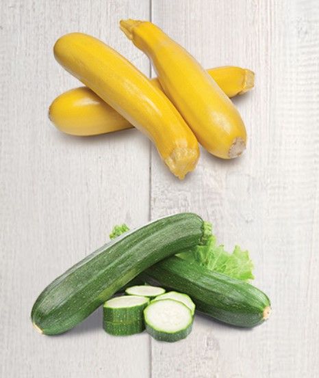 Organic Squash from 미국 supplied by WHOLESUM FAMILY FARMS INC - Yellow 신선 주키니