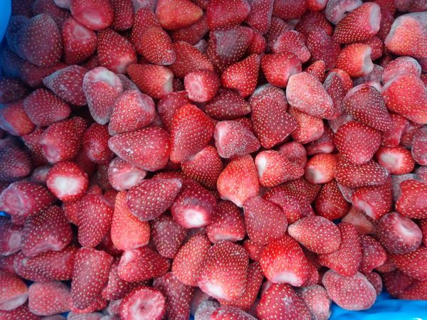 Frozen Strawberry from United States supplied by Congeladora Anahuac, LLC - IQF (=Individual Quick Freezing) Frozen Strawberry