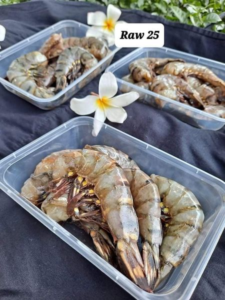 Prawn from Myanmar [Burma] supplied by Raw 25 Seafood Distribution Myanmar - Frozen Frozen Common Shrimp & Prawn