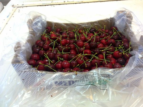 Fresh Sweet Cherry from Greece supplied by Marantidis, N., & Co. Medifresh S.A. - Sweet Cherry - Larian Fresh Sweet Cherry