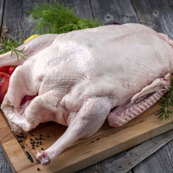 Fresh Goose Meat from 독일 supplied by Bauernhof Oderaue GbR - Fresh (=Chilled=Raw) 거위 고기