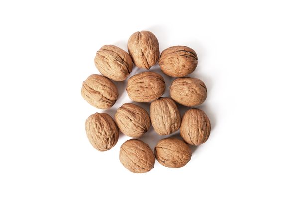 In Shell walnut from 칠레 supplied by Calbu SPA - >30mm (=30mm보다 큼) 생호두