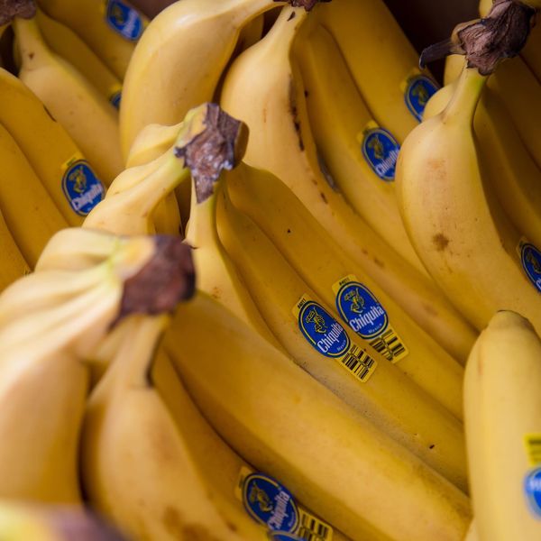 Fresh Banana from United States supplied by Watsonville Coast Produce Inc - Seedless Fresh Banana