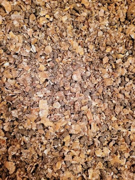 Corn Meal from 폴란드 supplied by FeedTeam Sp. z o.o. - Yellow Corn 옥수수 가루 및 거친 가루