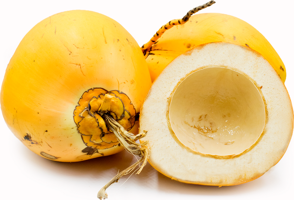 King Coconut from Sri Lanka supplied by Ceylon Aurum Agro Pvt Ltd - Young Other Fresh Coconut