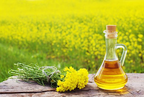Mustard Seed from 러시아 supplied by LLC APK Pole - 겨자씨