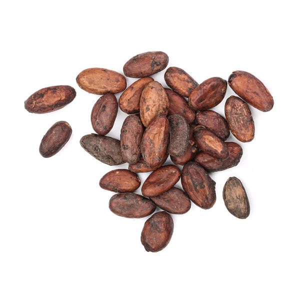 Cocoa Bean from Nicaragua supplied by Cacao Oro - Dried Cocoa Bean