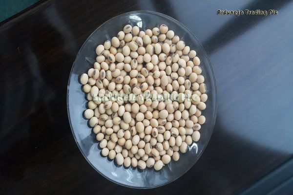 Soybeans from 에티오피아 supplied by ARDUNEJA Trading Plc - Yellow 대두