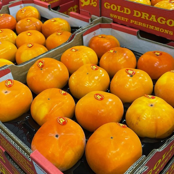Persimmons from 호주 supplied by Fresh Produce Group - Carton Box (=Cardboard Box) 신선 감
