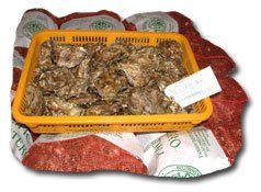 Oysters from 미국 supplied by Bay Center Mariculture Co. - Whole (=In Shell=Unshucked) 신선 굴