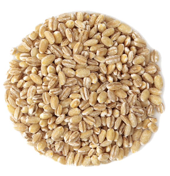 Barley from 미국 supplied by McGeary Grain, Inc - 크리슈나 (=AC 122) 보리