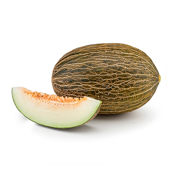 Fresh Piel de Sapo Melon from Brazil supplied by Bollo Brasil - Santa Claus (=Piel de Sapo=Toad Skin=Croc-Melons=Christmas) Fresh Melon (Muskmelon)