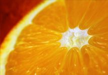 fresh navel orange from Poland supplied by Frudis Sp. Z O.o. - Orange Fresh Orange