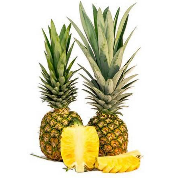 Pineapple from 말레이시아 supplied by Manjung Naluri Sdn Bhd - Farmed 신선 파인애플