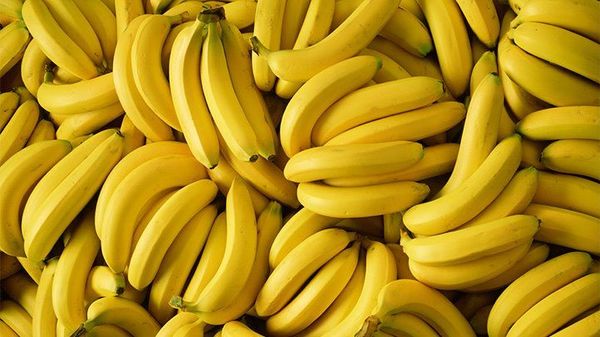 Banana from 모로코 supplied by Fresh Box - Yellow 신선 바나나