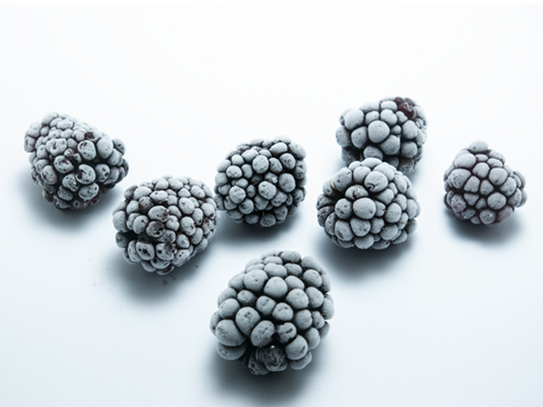 Frozen Blackberry from Serbia supplied by Frigo-Paun - Frozen Fresh Blackberry