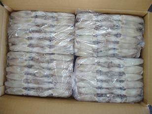 Baby Squid from China supplied by Asia Blue Ocean Seafood - Baby Squid (=Loligo Japonica=Loliolus japonica=Japanese Squid) Frozen Squid